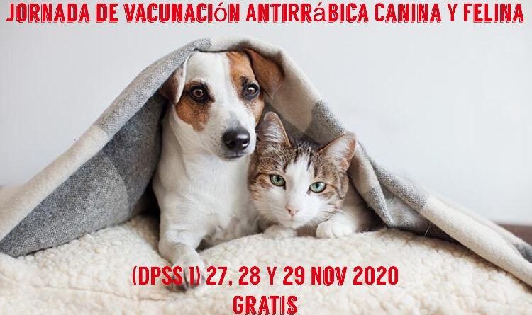Jornada de Vacunación Felina y canina