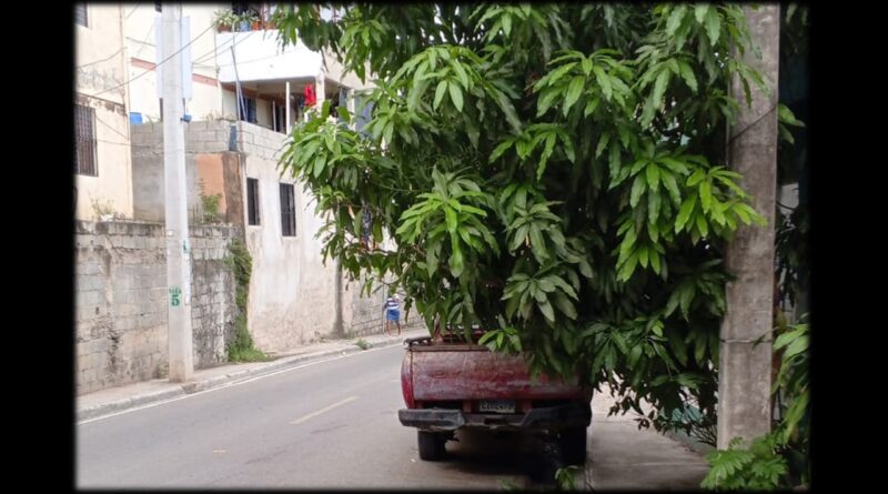Los López